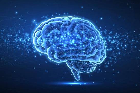 Study Suggests Brain Sharpness Can Improve at Any Age